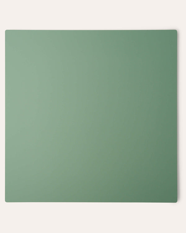 Canvas SURFACE Backdrops - Double-sided Monochromatic Green