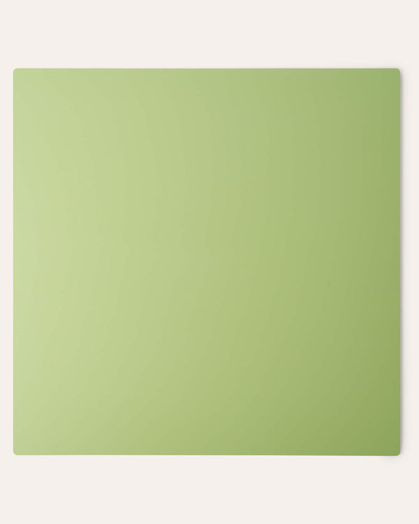 Canvas SURFACE Backdrops - Double-sided Monochromatic Green